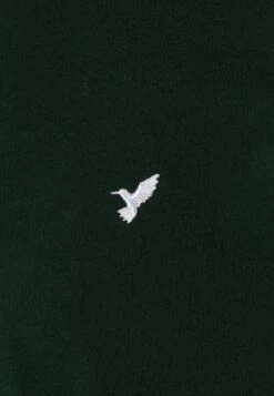 Pier One 5 Pack - T-Shirt Basic - White/Ark Green/Blue 21 Pier One 5 Pack - T-Shirt Basic - White/Ark Green/Blue -Pier One 19822f95d4c243b5a7cfa8d503e23581