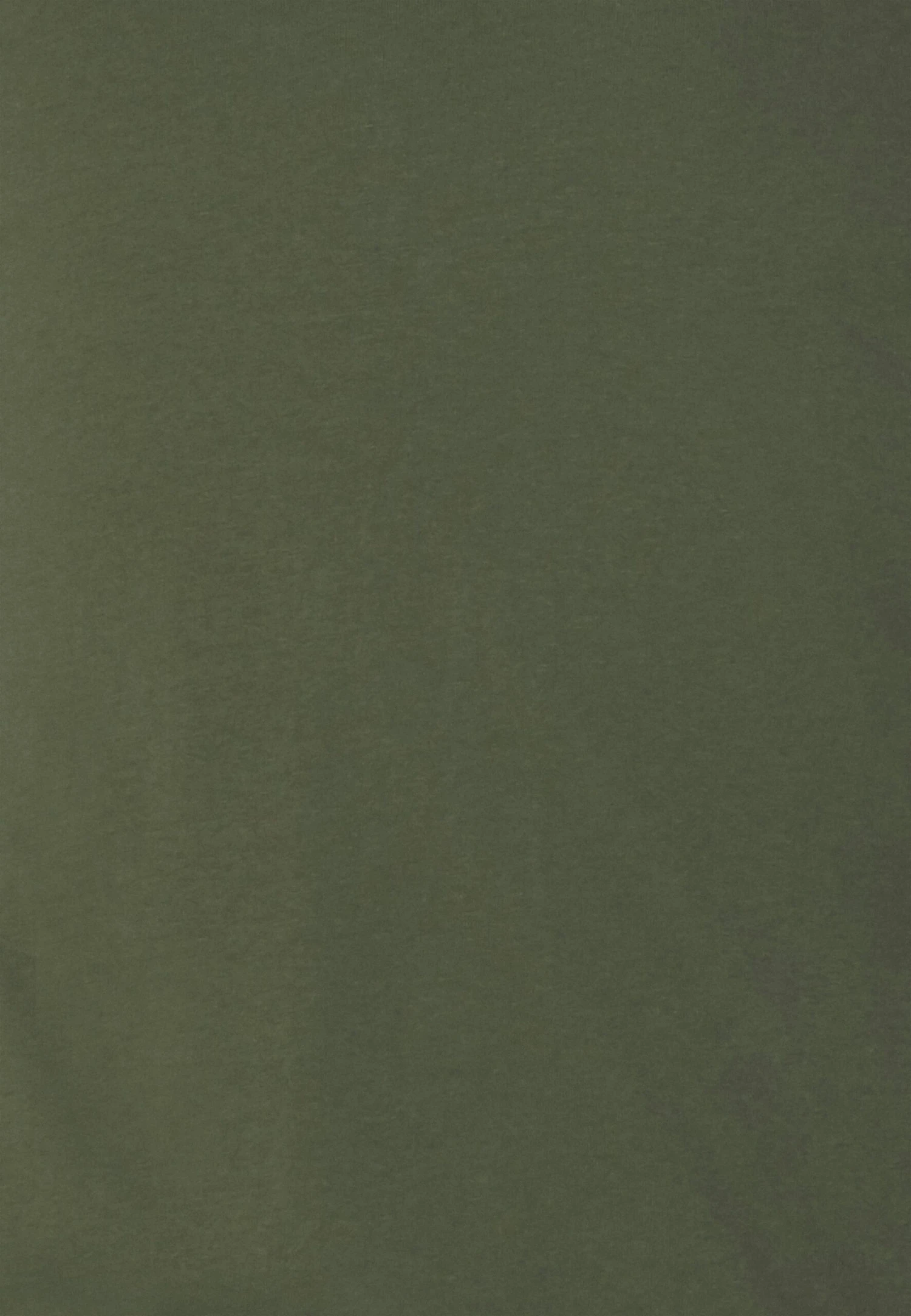 Pier One 2 Pack - Longsleeve - Off-White/Dark Green 8 Pier One 2 Pack - Longsleeve - Off-White/Dark Green - Afbeelding 6