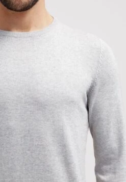 Pier One Basic Crewneck - Trui - Light Grey 10 Pier One Basic Crewneck - Trui - Light Grey -Pier One 84bce05096b94c09b9c8a396de30ba85